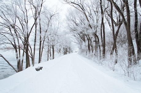 河北大雪(河北大雪：北方寒冬的白色浪漫)