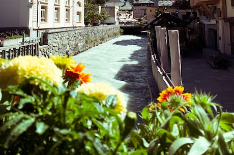 水塔花(【水塔花开】冬日青岛的美丽之花)