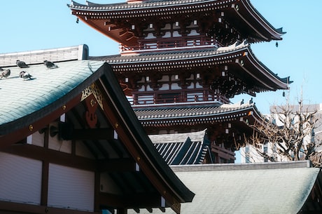 万寿寺(万寿寺：古刹探秘)