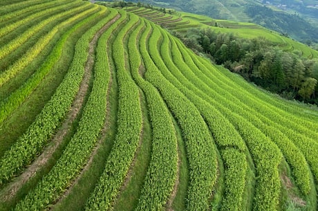 啸剑指江山 就能稳操胜券？这会儿算算时辰