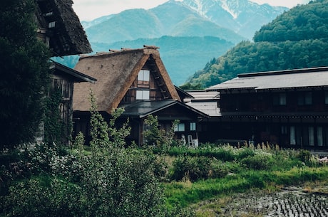 神奇宝贝小霞(神奇宝贝小霞：开心愉快的旅程)