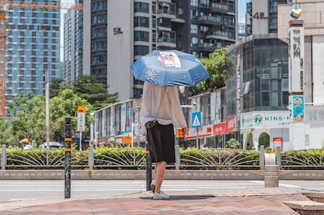 深圳职校(深圳职校的发展与挑战)