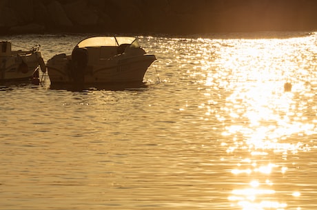 衰草连天(衰草连天，如何应对炎热夏日)