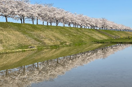 4月13日 4月13日出生的星座为白羊座