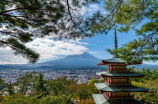 从零开始学日语(从零开始学日语，你需要掌握这几个基本点)